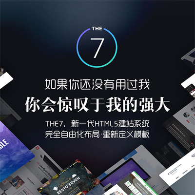 the 7英中加速8.5.0.1插件演示外贸网站10G视频Wordpress主题the7